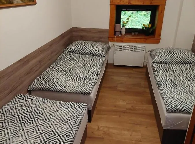 샬레 U Michala- Neakceptujeme Mlade Partie